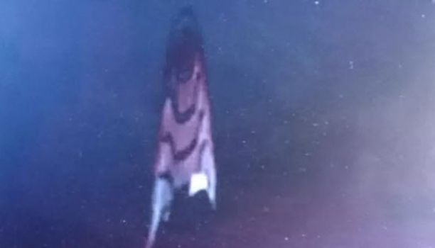 One of the recent UFO's seen near the ISS