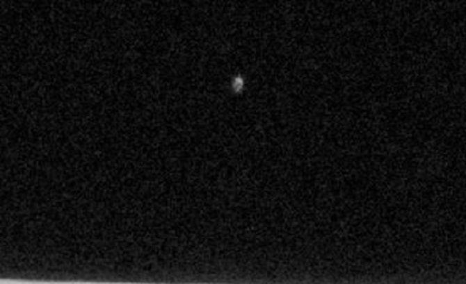 Close-up Of The Alien Drone