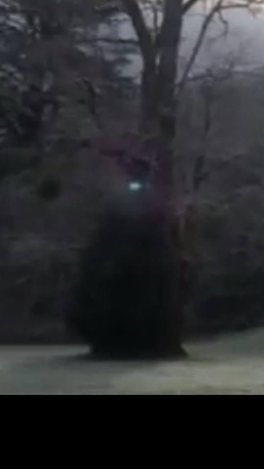 Huge Dark figure caught on camera next to a drifting by Orb.