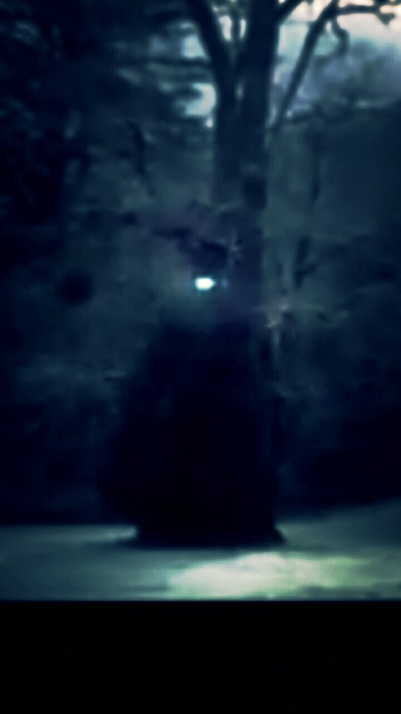 Figure Zoomed in on and re-focused!