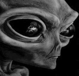 Alien Encounter.