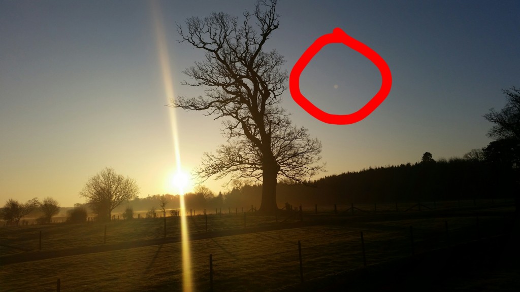 Original Photo