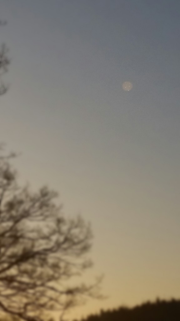 Object Zoomed in a little
