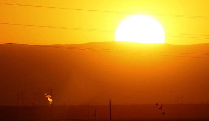 Just imagine the wonders that travel next to our Sun!