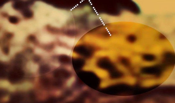 Close up showing what he believes is alien carved face!?