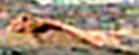 This is an alien corpse, says Gignac