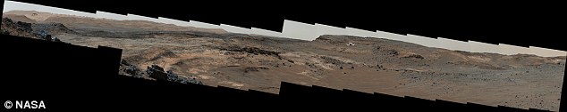 The conspiracy theorists says he made 12 screen grabs from the large Nasa image , and analysed each one by zooming in on various areas