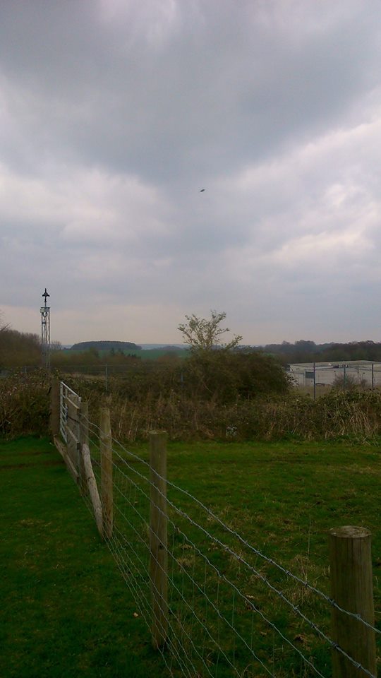 Full image of captured UFO