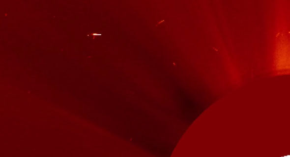 A1