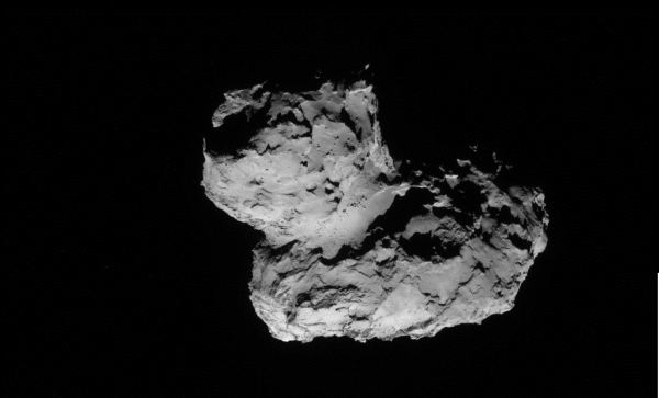 Could the "Rubber duck" Comet be harvesting Alien life