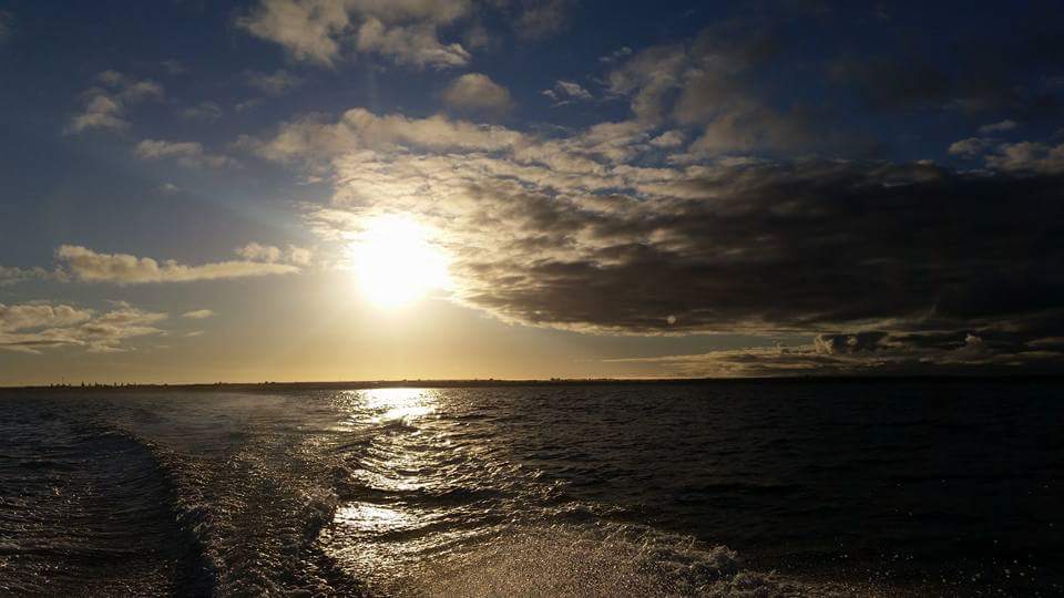A1