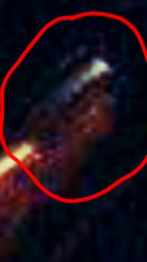 You can clearly see the facial features on this close up.