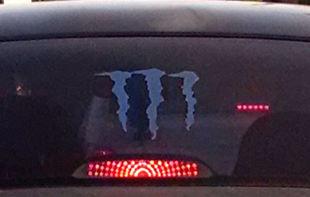 alien-face-reptile-florida