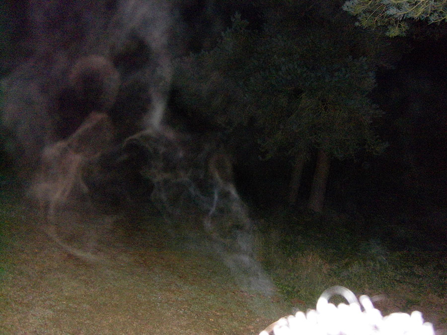 You can see an Alien Grey like being in this capture.