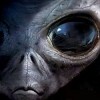 Grey Aliens