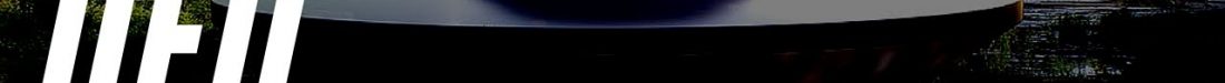 UFO International Project